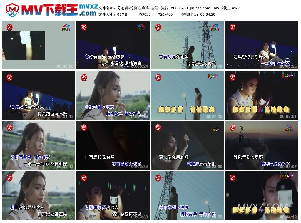 陈有娜-等到心疼疼_台语_流行_YE800900